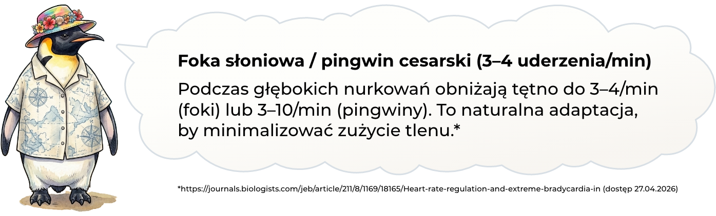 Ciekawostka
