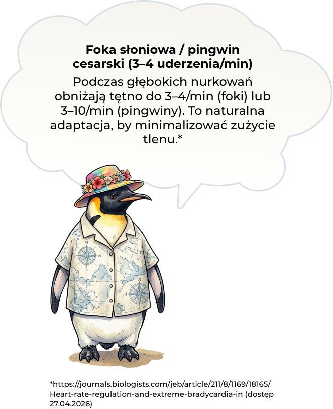 Ciekawostka