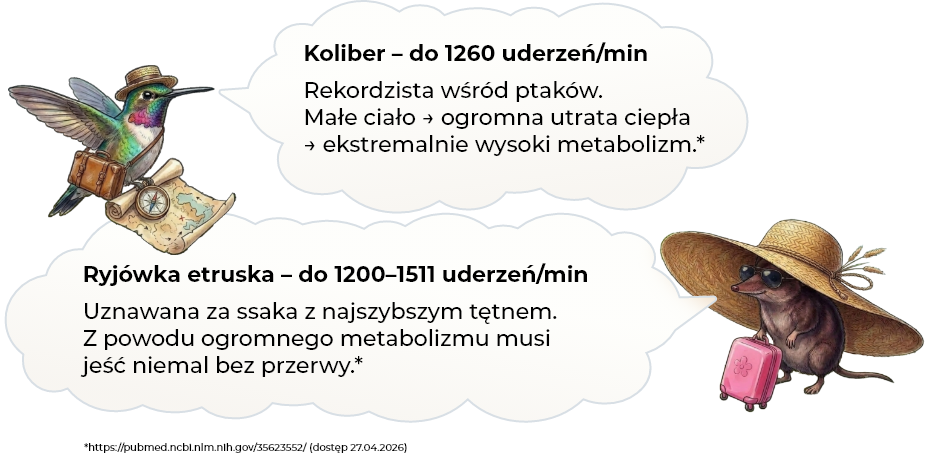 Ciekawostka