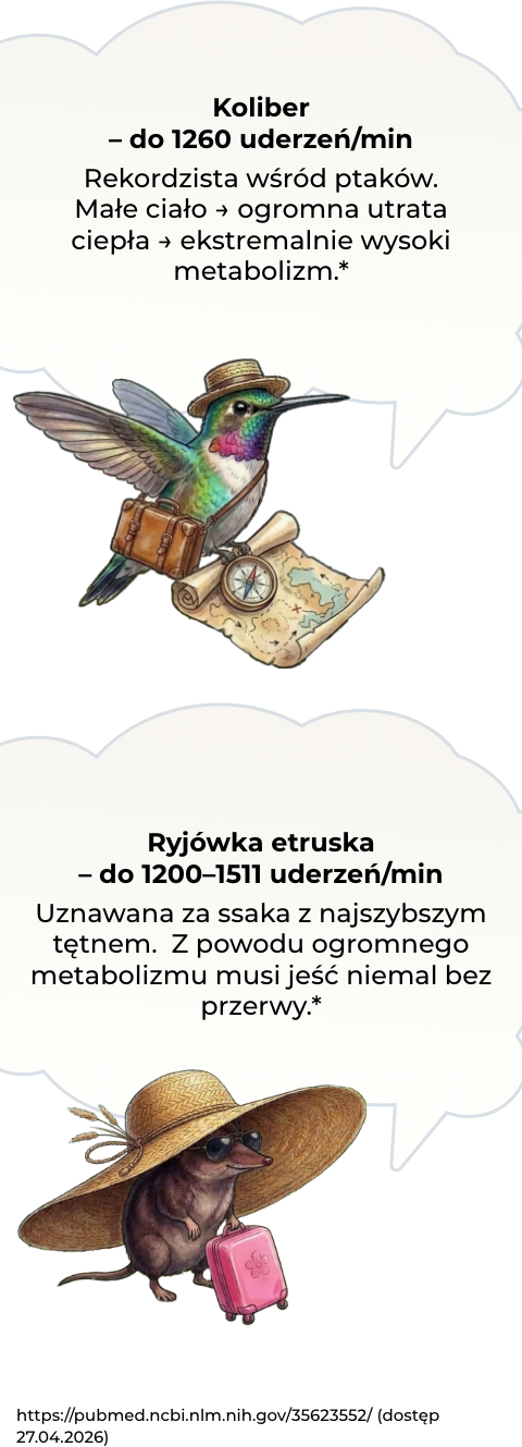 Ciekawostka
