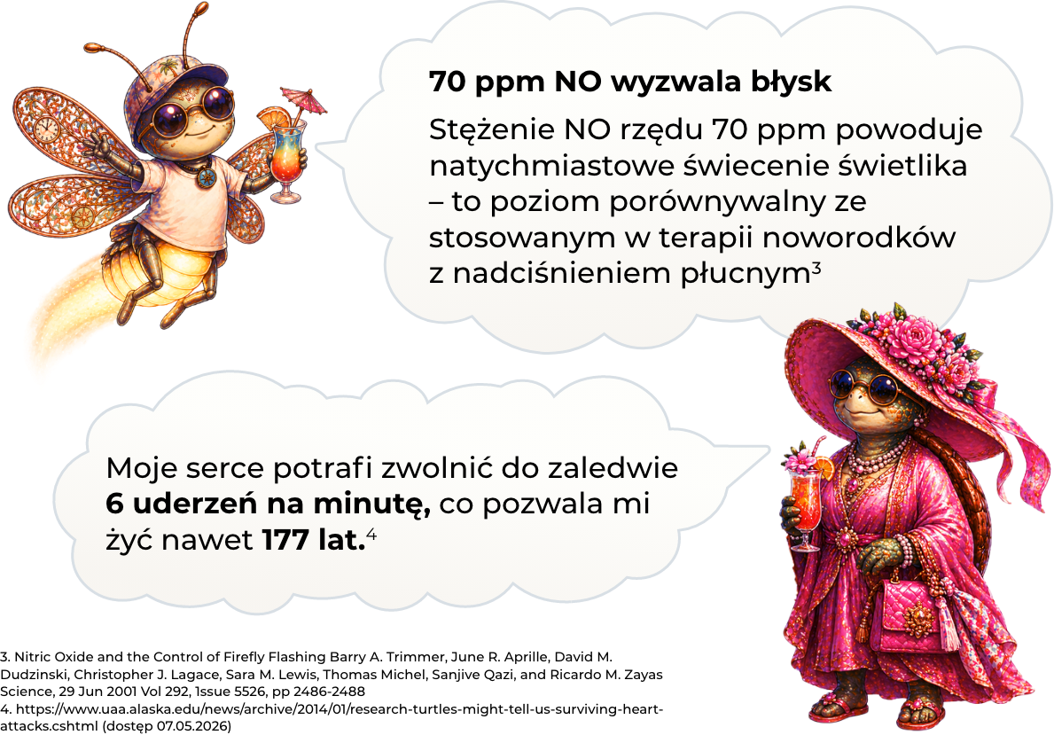 Ciekawostka