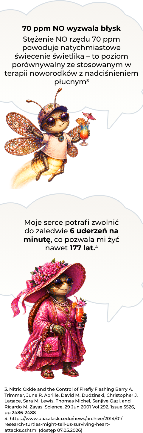 Ciekawostka