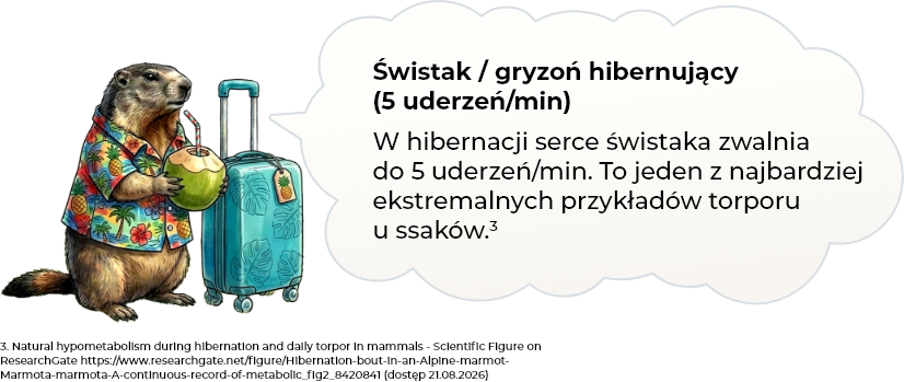 Ciekawostka