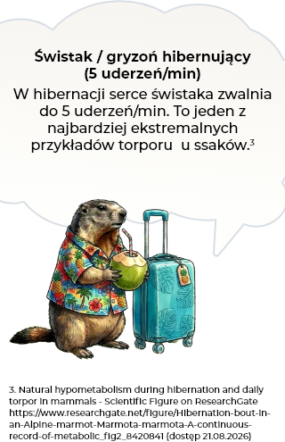 Ciekawostka